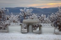 Muškovci: Zaleđena stabla i stolovi