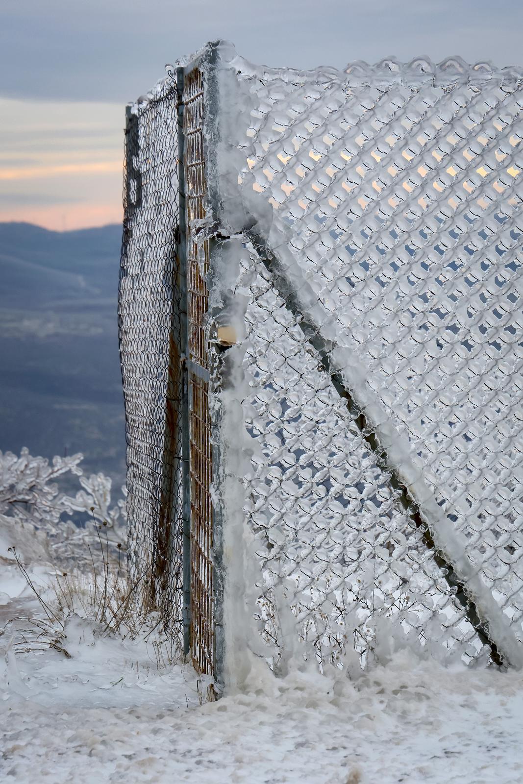 Muškovci: Zaleđena stabla i stolovi