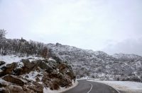 Muškovci: Zaleđena stabla i stolovi