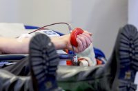 Zadar: Velika humanitarna akcija dobrovoljnog darivanja krvi