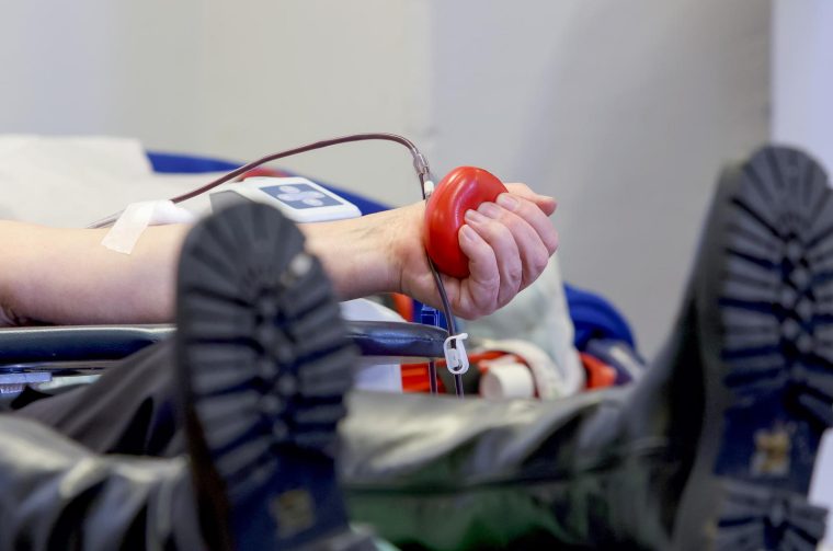 Zadar: Velika humanitarna akcija dobrovoljnog darivanja krvi Zadar: Velika humanitarna akcija dobrovoljnog darivanja krvi