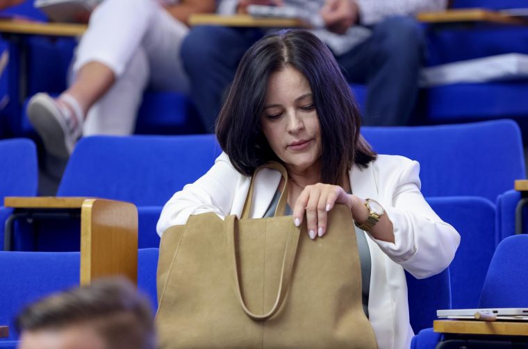 Zadar: Proračunska sjednica Gradskog vijeća Zadar: Proračunska sjednica Gradskog vijeća