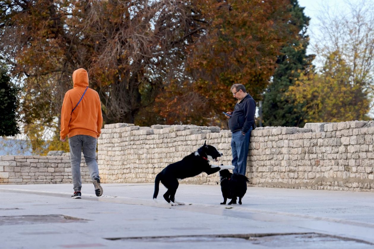 Zadar: Jutro u centru grada Zadar: Jutro u centru grada
