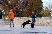 Zadar: Jutro u centru grada Zadar: Jutro u centru grada