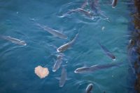 Zadar: Jutro u centru grada Zadar: Jutro u centru grada