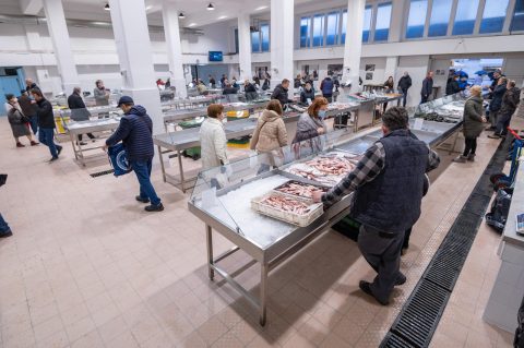 Zadar: Nakon preuređenja ponovno otvorena ribarnica