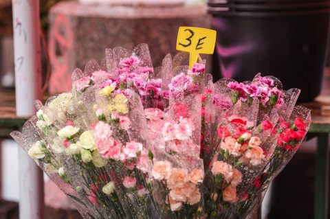 Zagreb: Kupovina cvijeća na Valentinovo Zagreb: Kupovina cvijeća na Valentinovo