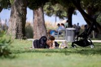 Zadar: Velik broj stranih gostiju u centru grada