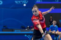 Europsko ekipno prvenstvo u stolnom tenisu: Grčka-Slovenija Europsko ekipno prvenstvo u stolnom tenisu: Grčka-Slovenija