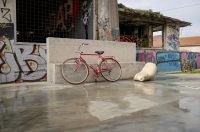 Ulična umjetnost u sklopu proslave Dana grada Zadra – novi murali niknuli kod Centra za mlade