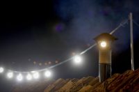 Bozicne jelke prodaju se na brojnim lokacijama