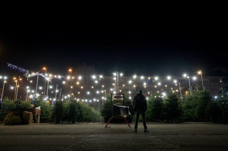 Bozicne jelke prodaju se na brojnim lokacijama Bozicne jelke prodaju se na brojnim lokacijama