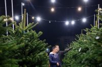 Bozicne jelke prodaju se na brojnim lokacijama