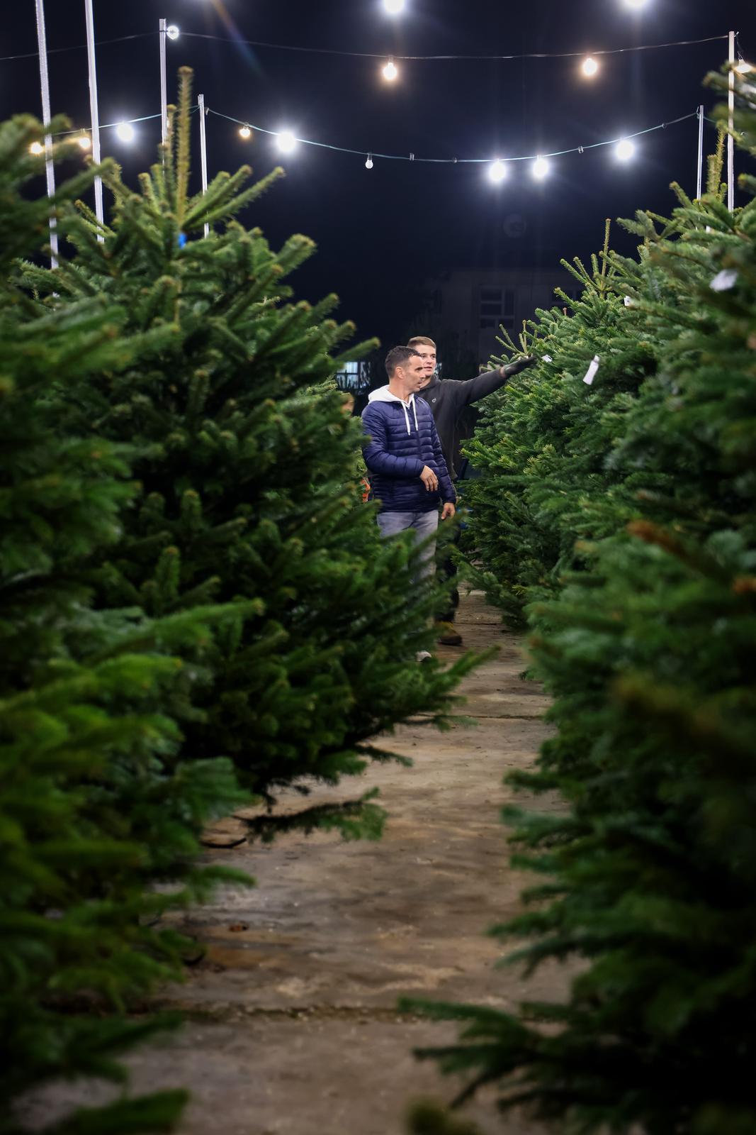 Bozicne jelke prodaju se na brojnim lokacijama