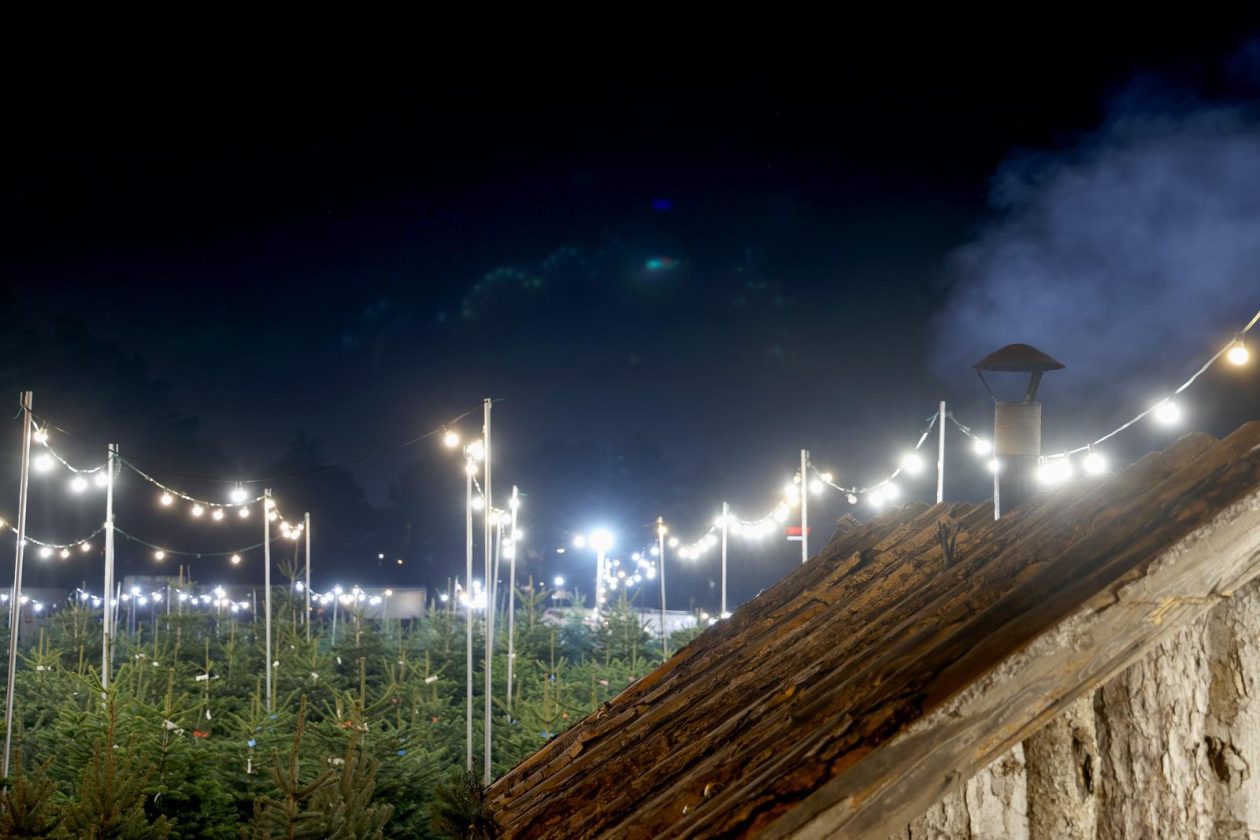 Bozicne jelke prodaju se na brojnim lokacijama