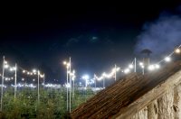 Bozicne jelke prodaju se na brojnim lokacijama