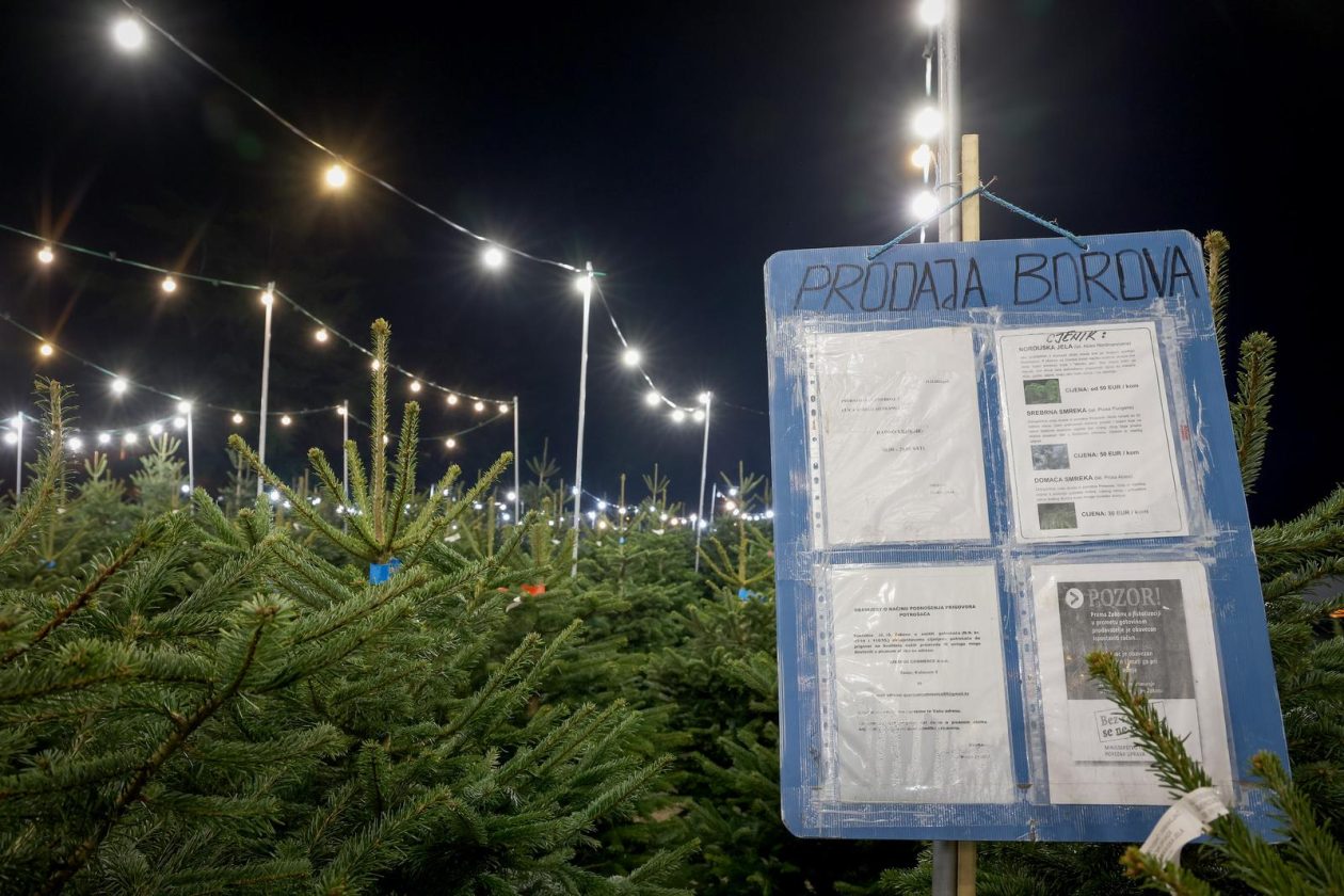 Bozicne jelke prodaju se na brojnim lokacijama