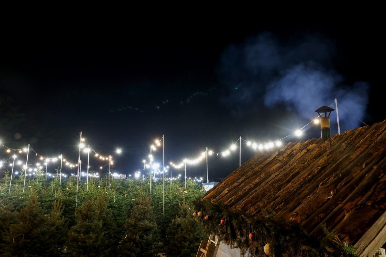 Bozicne jelke prodaju se na brojnim lokacijama