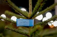 Bozicne jelke prodaju se na brojnim lokacijama