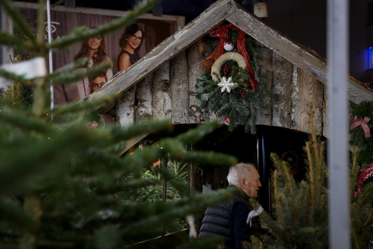 Bozicne jelke prodaju se na brojnim lokacijama