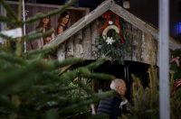 Bozicne jelke prodaju se na brojnim lokacijama