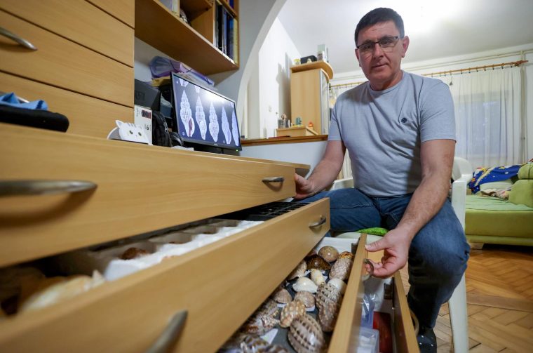 Zadar: Alen Petani ima kolekciju od preko 10 tisuća školjaka