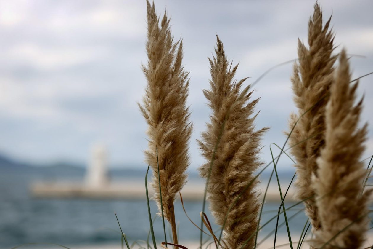 Nedjeljni dan u Zadru Nedjeljni dan u Zadru