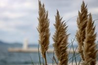 Nedjeljni dan u Zadru Nedjeljni dan u Zadru