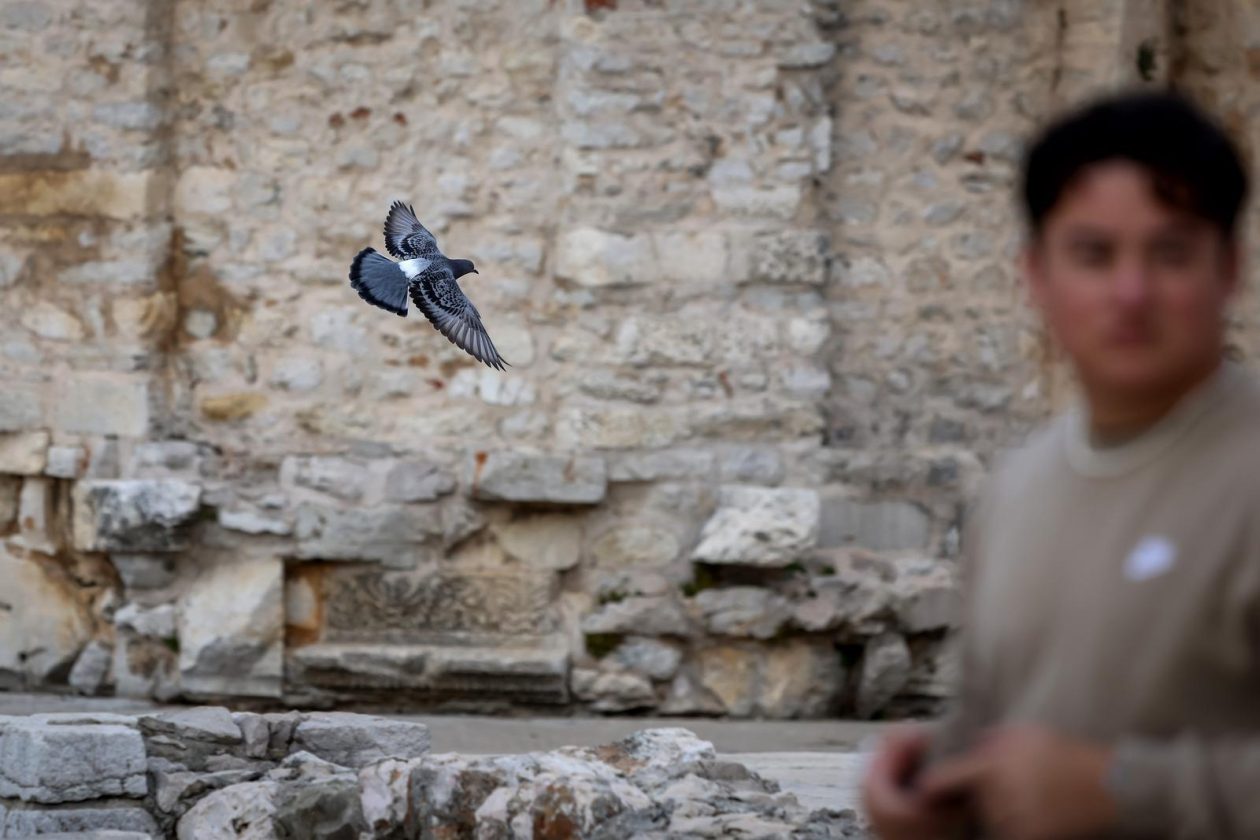 Nedjeljni dan u Zadru Nedjeljni dan u Zadru