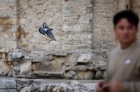 Nedjeljni dan u Zadru Nedjeljni dan u Zadru