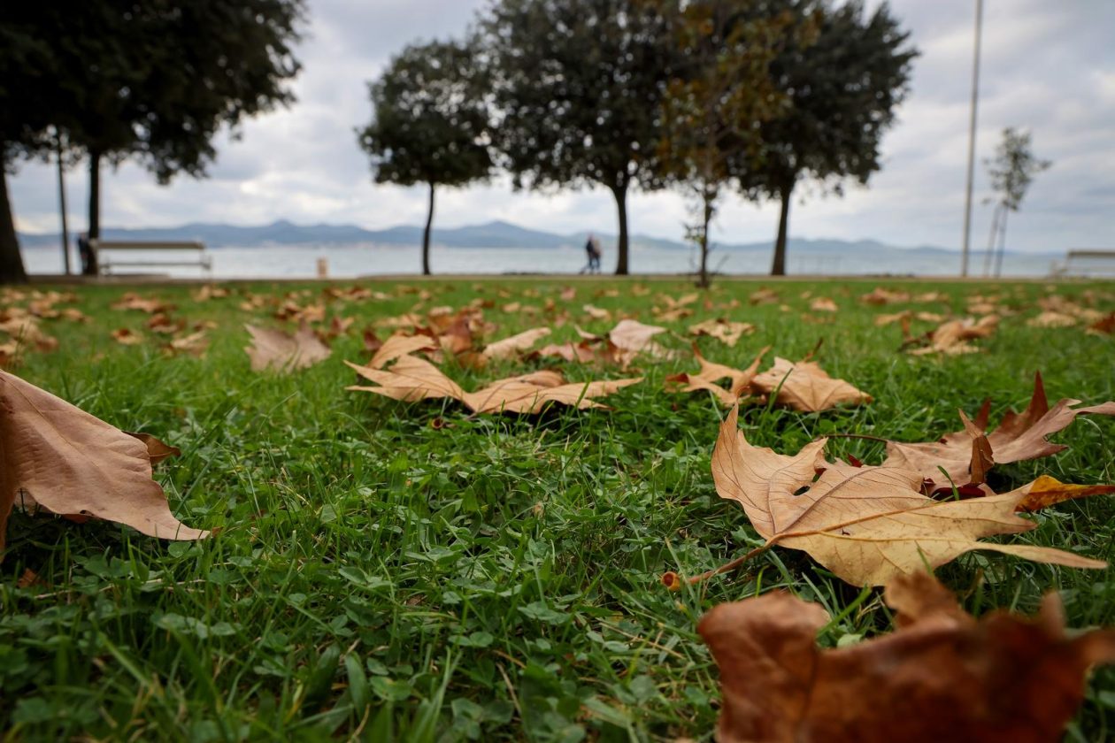 Nedjeljni dan u Zadru Nedjeljni dan u Zadru