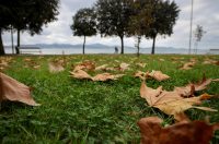 Nedjeljni dan u Zadru Nedjeljni dan u Zadru