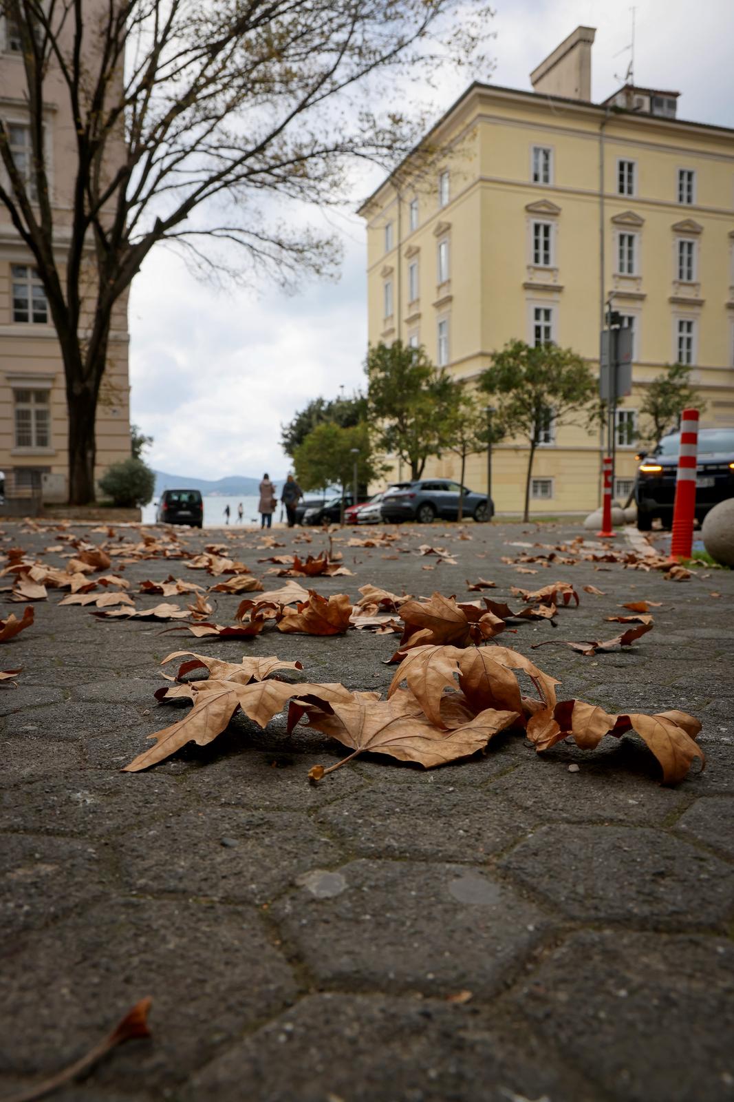 Nedjeljni dan u Zadru Nedjeljni dan u Zadru