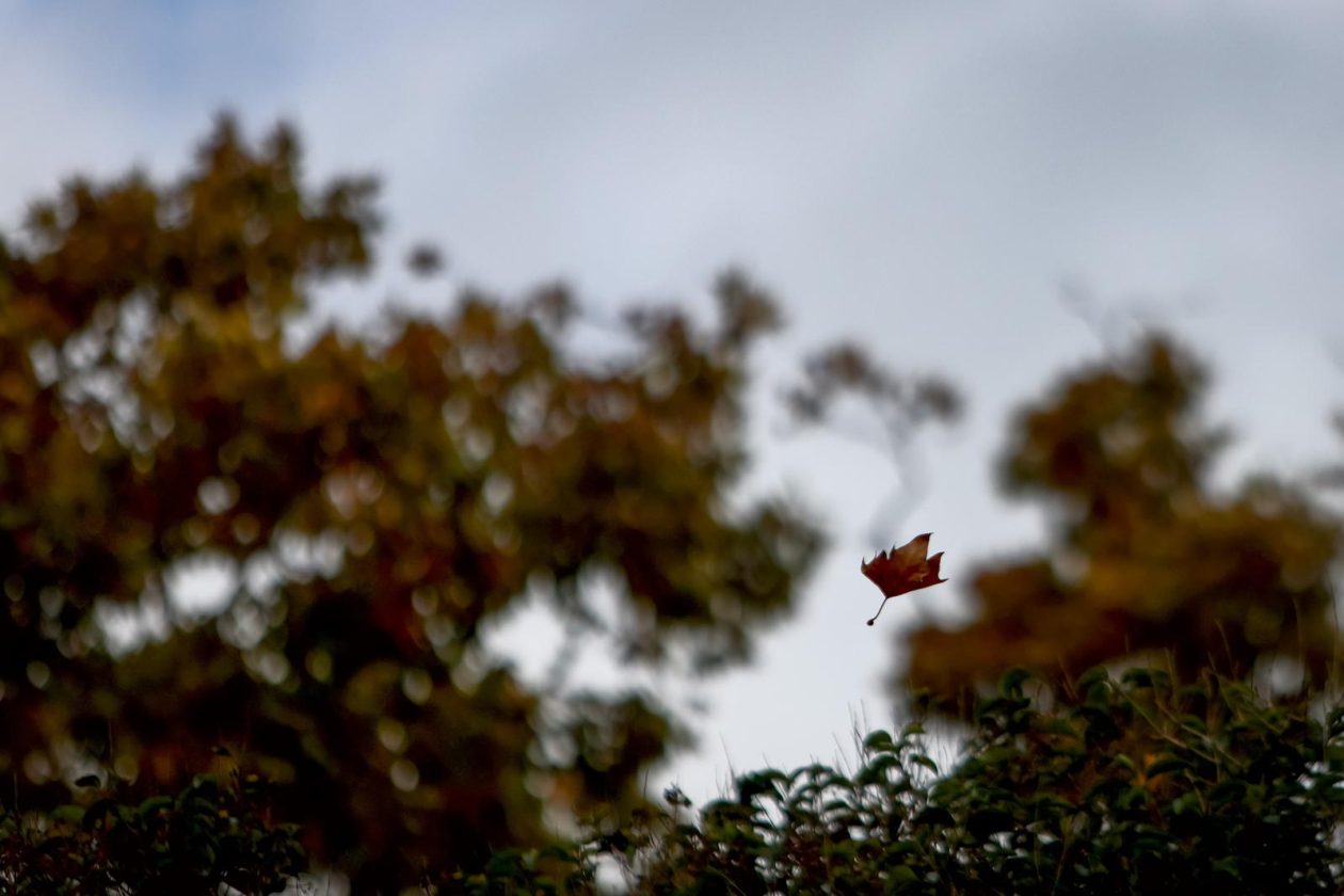 Nedjeljni dan u Zadru Nedjeljni dan u Zadru
