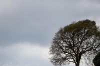 Nedjeljni dan u Zadru Nedjeljni dan u Zadru