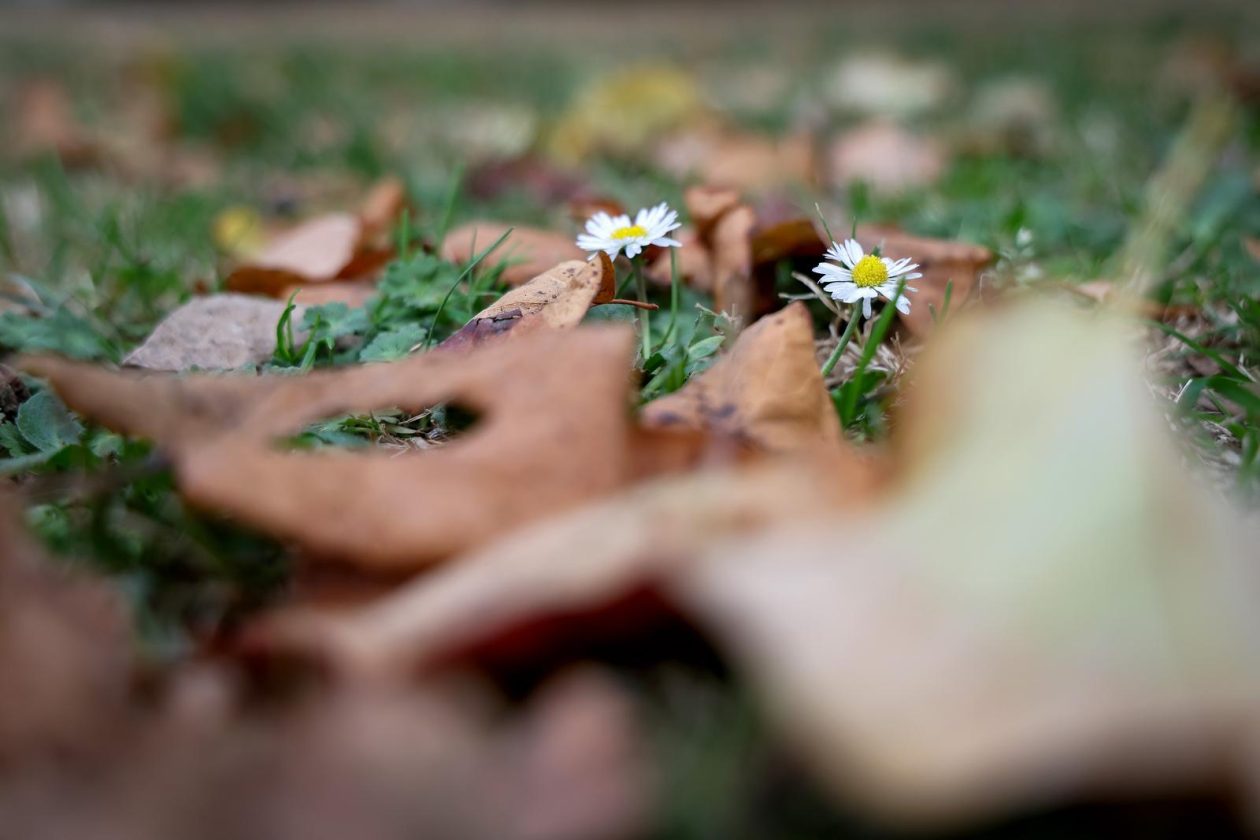 Nedjeljni dan u Zadru Nedjeljni dan u Zadru