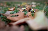 Nedjeljni dan u Zadru Nedjeljni dan u Zadru