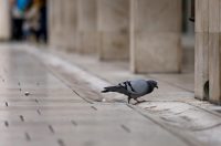 Nedjeljni dan u Zadru Nedjeljni dan u Zadru