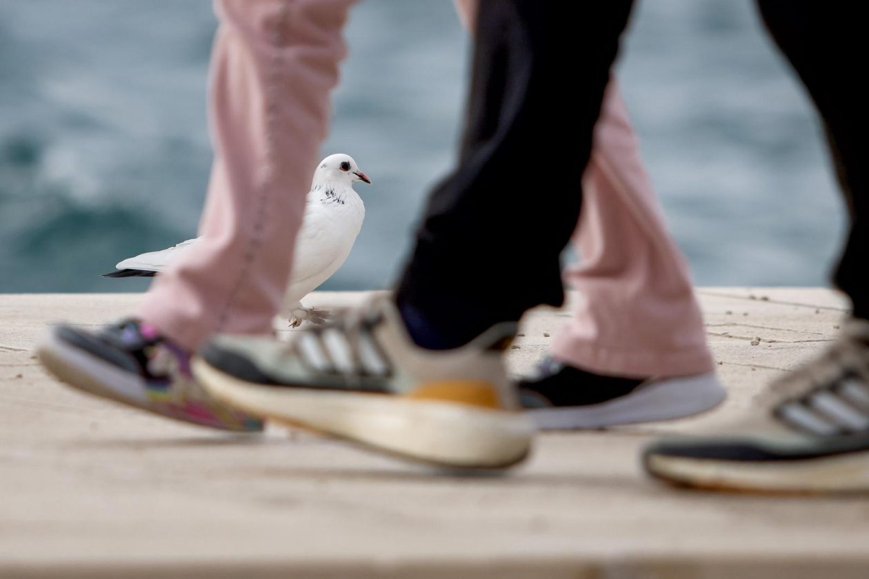 Nedjeljni dan u Zadru Nedjeljni dan u Zadru