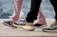 Nedjeljni dan u Zadru Nedjeljni dan u Zadru