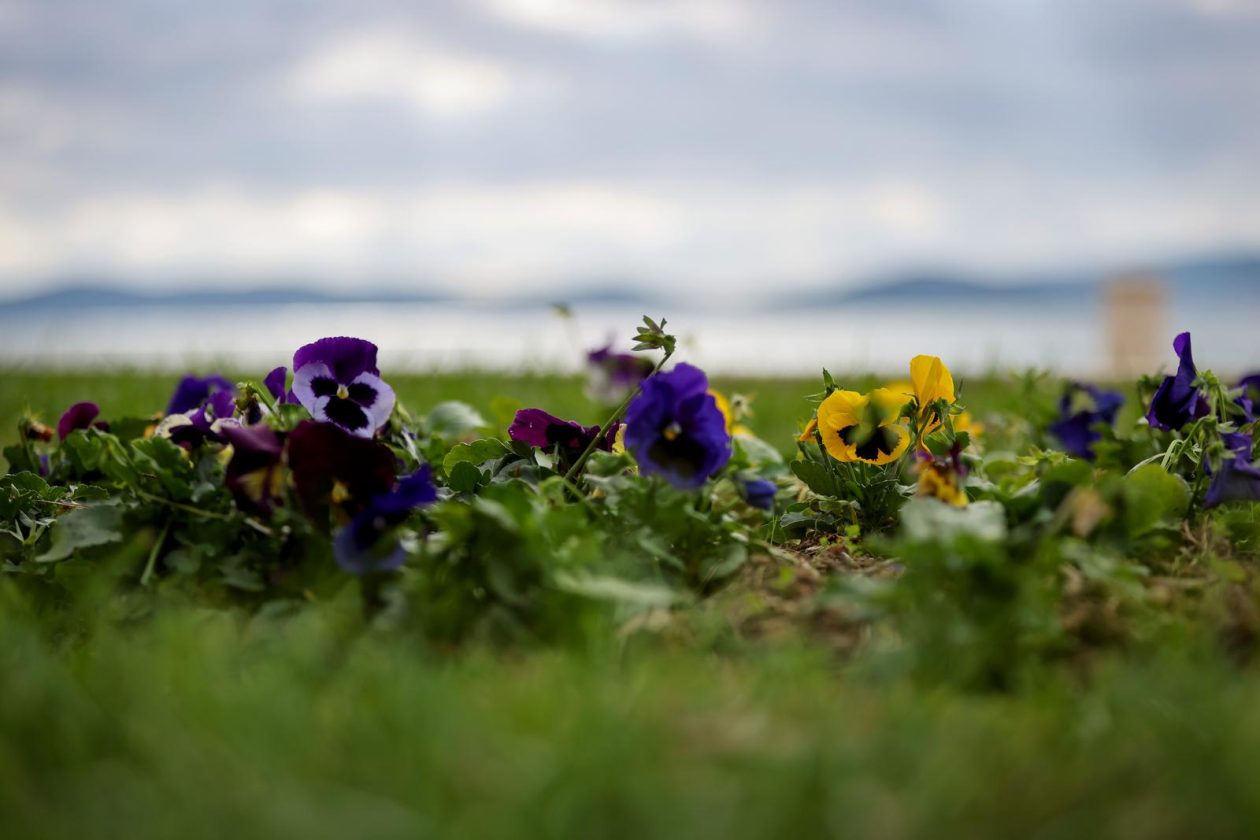 Nedjeljni dan u Zadru Nedjeljni dan u Zadru