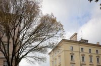 Nedjeljni dan u Zadru rektorat Nedjeljni dan u Zadru rektorat