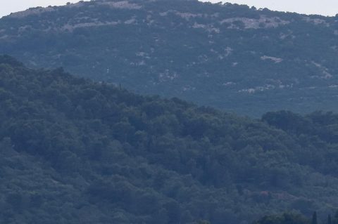 Zadar: Katamaran “Melita” s kojeg su noćas evakuirani putnici pluta u zadarskom kanalu