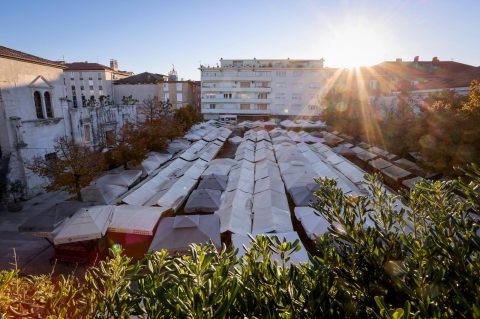 tržnica pijaca gradska