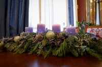 Predbožićno druženje s gradonačelnikom i pročelnicima Grada Zadra