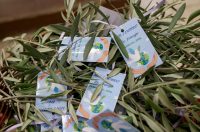 Zadar: Prigodno obilježavanje potpisivanja Zadarskog mira