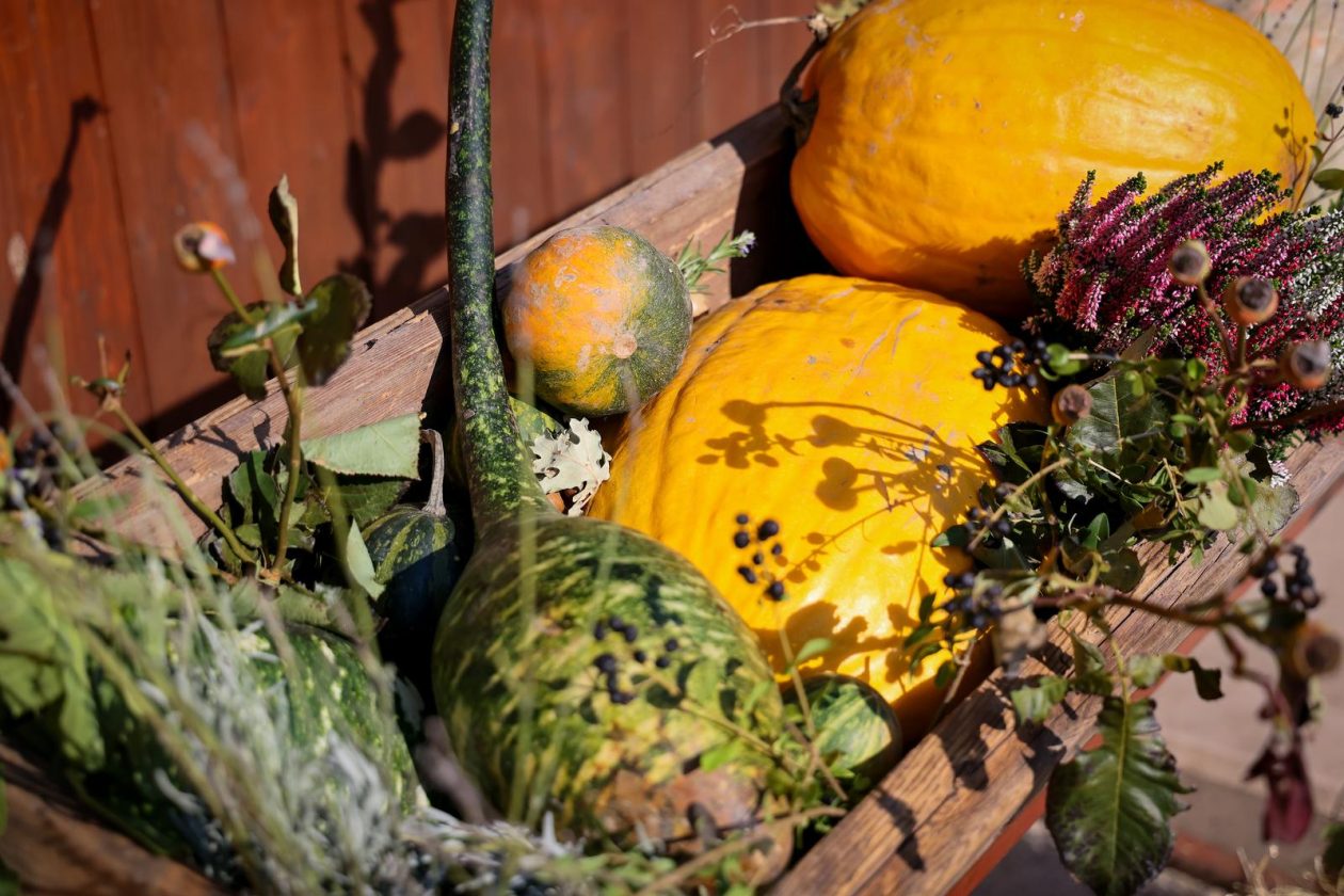 Predsjednik Hrvatskog sabora Gordan Jandroković obišao manifestaciju „Pijat na Pijaci“