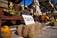 Predsjednik Hrvatskog sabora Gordan Jandroković obišao manifestaciju „Pijat na Pijaci“