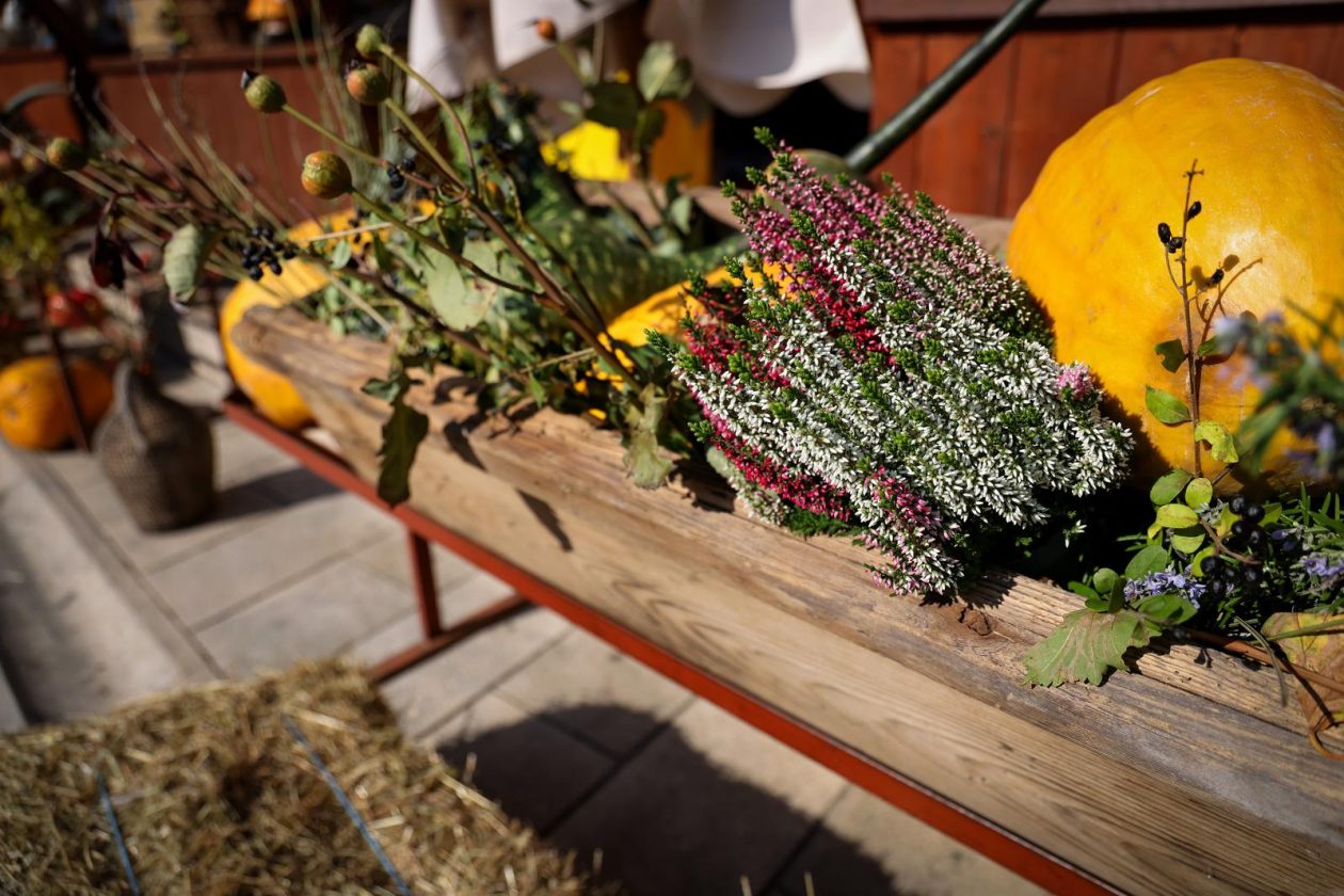 Predsjednik Hrvatskog sabora Gordan Jandroković obišao manifestaciju „Pijat na Pijaci“