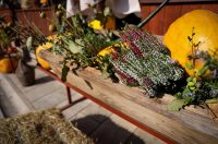 Predsjednik Hrvatskog sabora Gordan Jandroković obišao manifestaciju „Pijat na Pijaci“